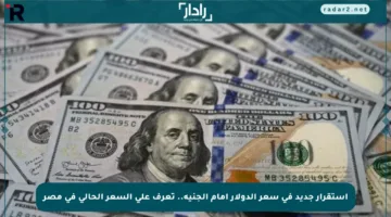 استقرار جديد في سعر الدولار أمام الجنيه.. تعرف على السعر الحالي في مصر